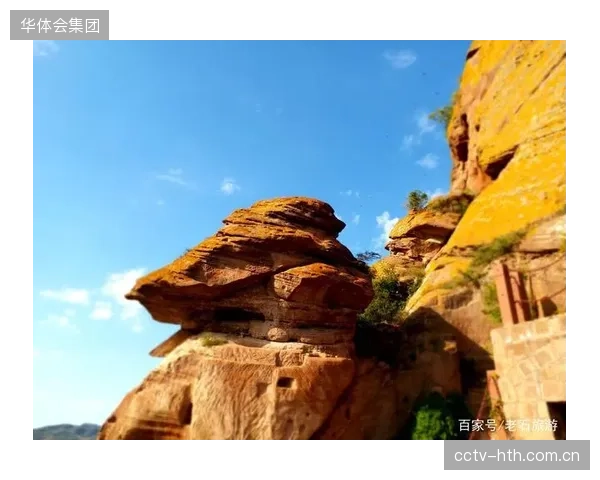 巴尔达克奇与德米拉尔组成的中卫搭档将是土耳其防线的坚固屏障。